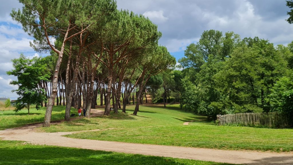 1<sup>ère</sup> fête du vélo sur Albi